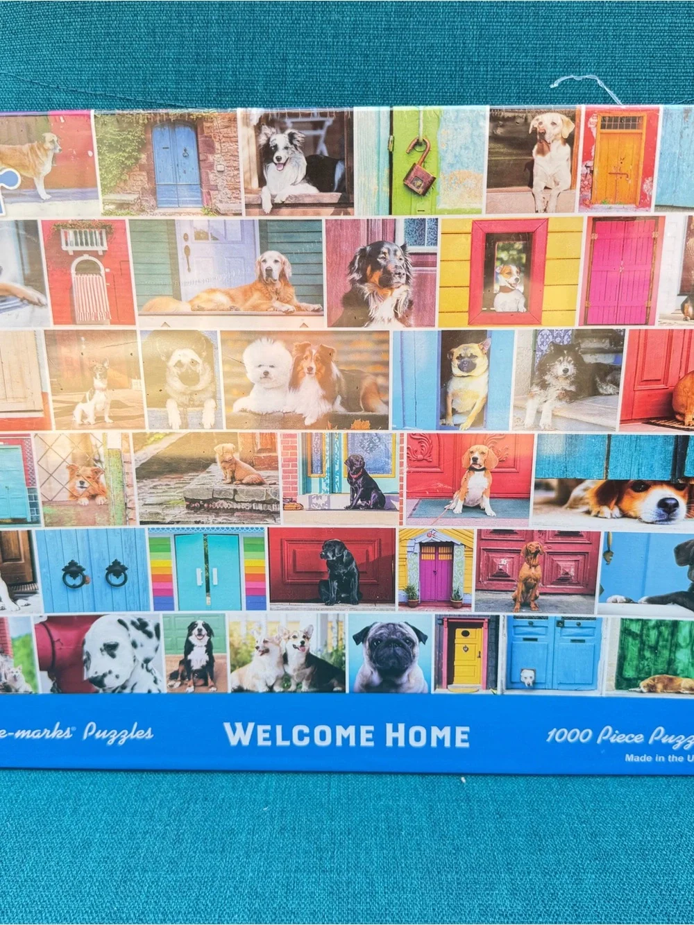 Welcome Home 1000-Piece Jigsaw Puzzle - Colorful Doors & Dogs